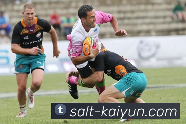 多媒体互动体验